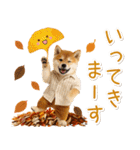 大人かわいい秋の癒し柴犬（個別スタンプ：33）
