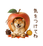 大人かわいい秋の癒し柴犬（個別スタンプ：34）