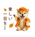 大人かわいい秋の癒し柴犬（個別スタンプ：35）