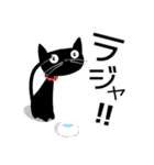 黒猫がやって来た！（個別スタンプ：7）