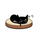 黒猫がやって来た！（個別スタンプ：37）