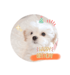 〜わんこの日常生活〜（個別スタンプ：9）