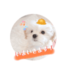 〜わんこの日常生活〜（個別スタンプ：13）