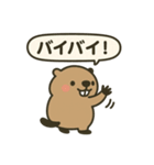 ゆるマーモットのあいさつスタンプ（個別スタンプ：6）