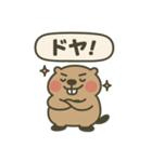 ゆるマーモットのあいさつスタンプ（個別スタンプ：13）