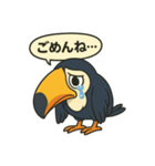 カラフルオオハシの毎日スタンプ（個別スタンプ：4）