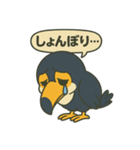 カラフルオオハシの毎日スタンプ（個別スタンプ：11）