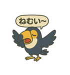 カラフルオオハシの毎日スタンプ（個別スタンプ：13）