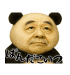 ゆるパンダじじぃの毎日凄い使えるゆる返信（個別スタンプ：5）