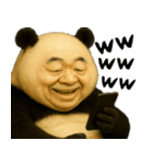 ゆるパンダじじぃの毎日凄い使えるゆる返信（個別スタンプ：8）