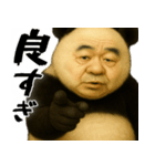 ゆるパンダじじぃの毎日凄い使えるゆる返信（個別スタンプ：12）