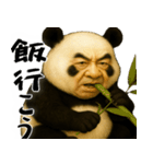 ゆるパンダじじぃの毎日凄い使えるゆる返信（個別スタンプ：16）