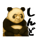 ゆるパンダじじぃの毎日凄い使えるゆる返信（個別スタンプ：31）