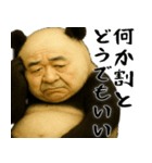ゆるパンダじじぃの毎日凄い使えるゆる返信（個別スタンプ：36）