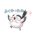 シマエナガ日常会話（個別スタンプ：10）