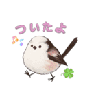 シマエナガ日常会話（個別スタンプ：14）