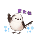 シマエナガ日常会話（個別スタンプ：25）