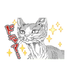 ニャイト・オブ・ザ・リビングキャット（個別スタンプ：14）
