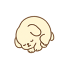 クリームわんこ のんびり日常（個別スタンプ：15）
