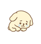 クリームわんこ のんびり日常（個別スタンプ：16）