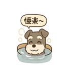 ミニシュナの冬じかん（個別スタンプ：2）