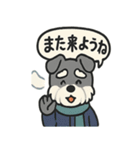 ミニシュナの冬じかん（個別スタンプ：15）