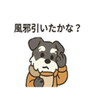 ミニシュナの冬じかん（個別スタンプ：23）