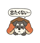 ミニシュナの冬じかん（個別スタンプ：37）
