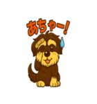 シュナウザースタンプ2（個別スタンプ：10）