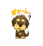 シュナウザースタンプ2（個別スタンプ：21）