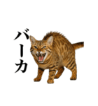 煽る！ネコ（個別スタンプ：3）