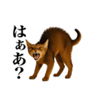 煽る！ネコ（個別スタンプ：15）