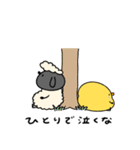 キザなへんてこなひつじ（個別スタンプ：6）
