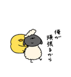 キザなへんてこなひつじ（個別スタンプ：10）