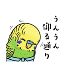 力士ちゃんのスタンプ6（個別スタンプ：29）