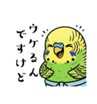 力士ちゃんのスタンプ6（個別スタンプ：31）