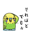 力士ちゃんのスタンプ6（個別スタンプ：32）
