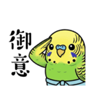 力士ちゃんのスタンプ6（個別スタンプ：33）