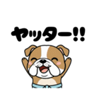 力士ちゃんのスタンプ6（個別スタンプ：37）