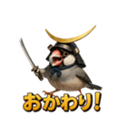 文鳥政宗（個別スタンプ：24）