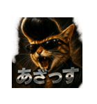 ツッパリ猫【リアル＆リーゼント】（個別スタンプ：25）