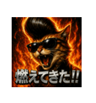 ツッパリ猫【リアル＆リーゼント】（個別スタンプ：36）