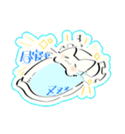 ゆるっとにゃんにゃん（個別スタンプ：11）