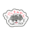 ゆるっとにゃんにゃん（個別スタンプ：36）