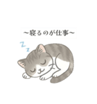 猫のクリ、まったり会話する（個別スタンプ：1）