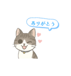猫のクリ、まったり会話する（個別スタンプ：2）