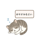 猫のクリ、まったり会話する（個別スタンプ：3）