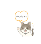 猫のクリ、まったり会話する（個別スタンプ：6）