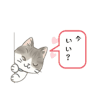 猫のクリ、まったり会話する（個別スタンプ：12）