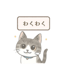 猫のクリ、まったり会話する（個別スタンプ：13）